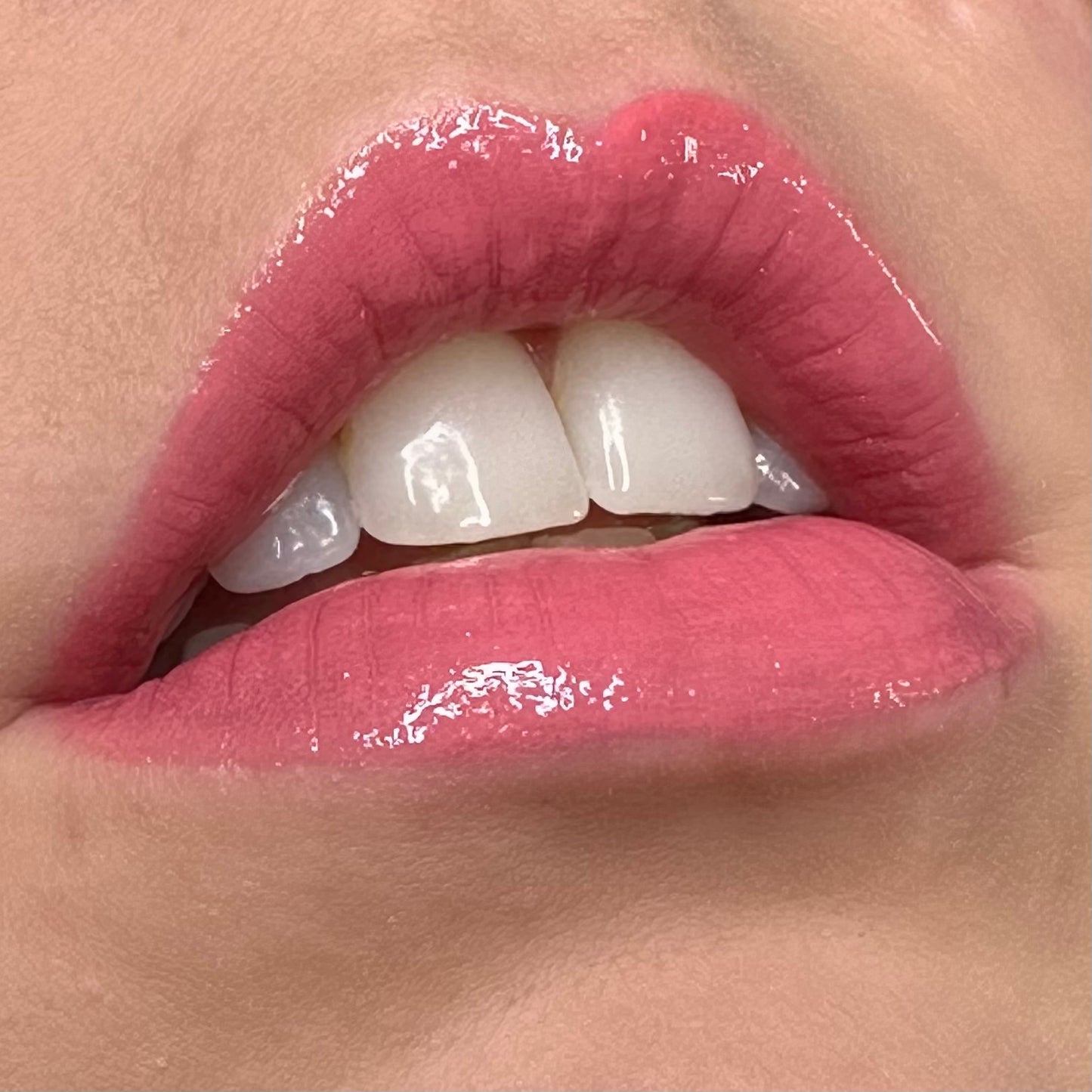 Limited Edition Lip Glosses